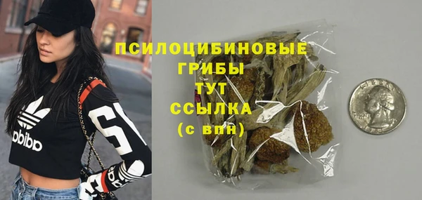 гашик Балахна